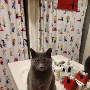 Meet your Posher, Tammy